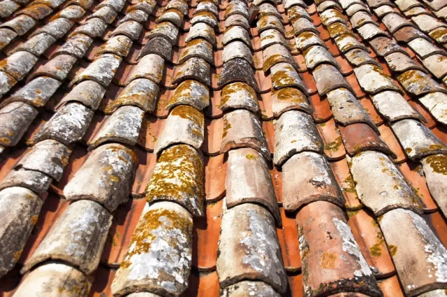 Clay roof tiles