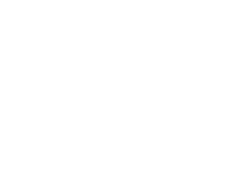Laffont-renovation-toiture